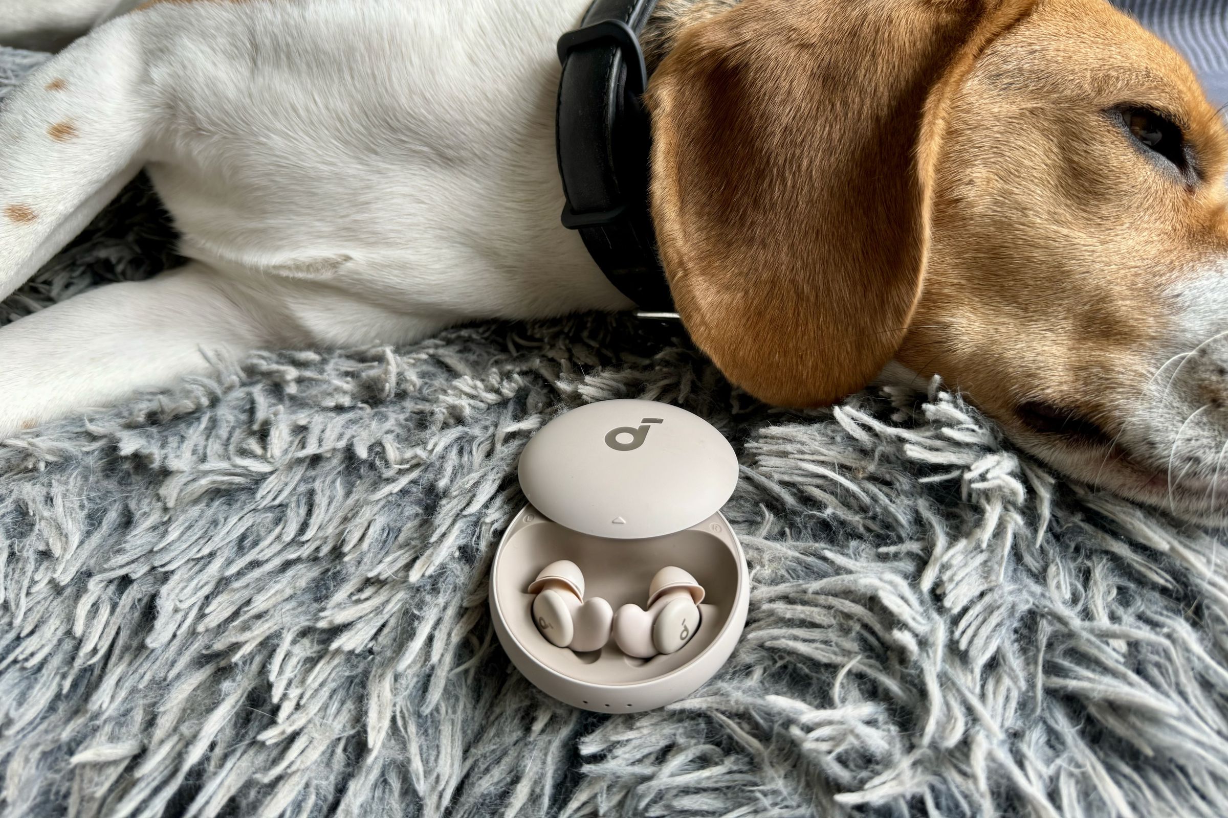 A beagle lies on its plush sleep mat with the Soundcore Sleep A20 earbuds shown in their case in the foreground.