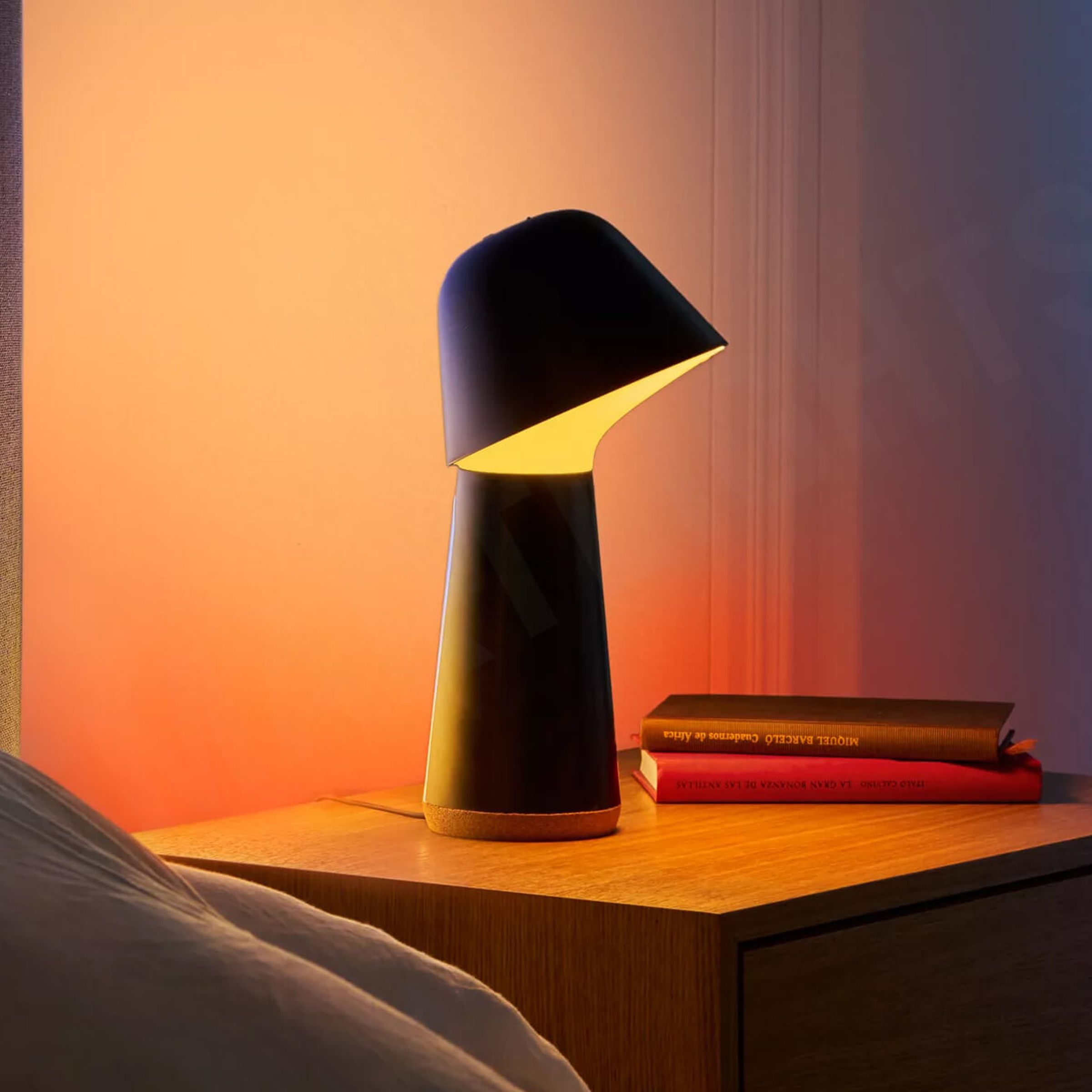 A picture of the Twilight sitting on a bedside table.