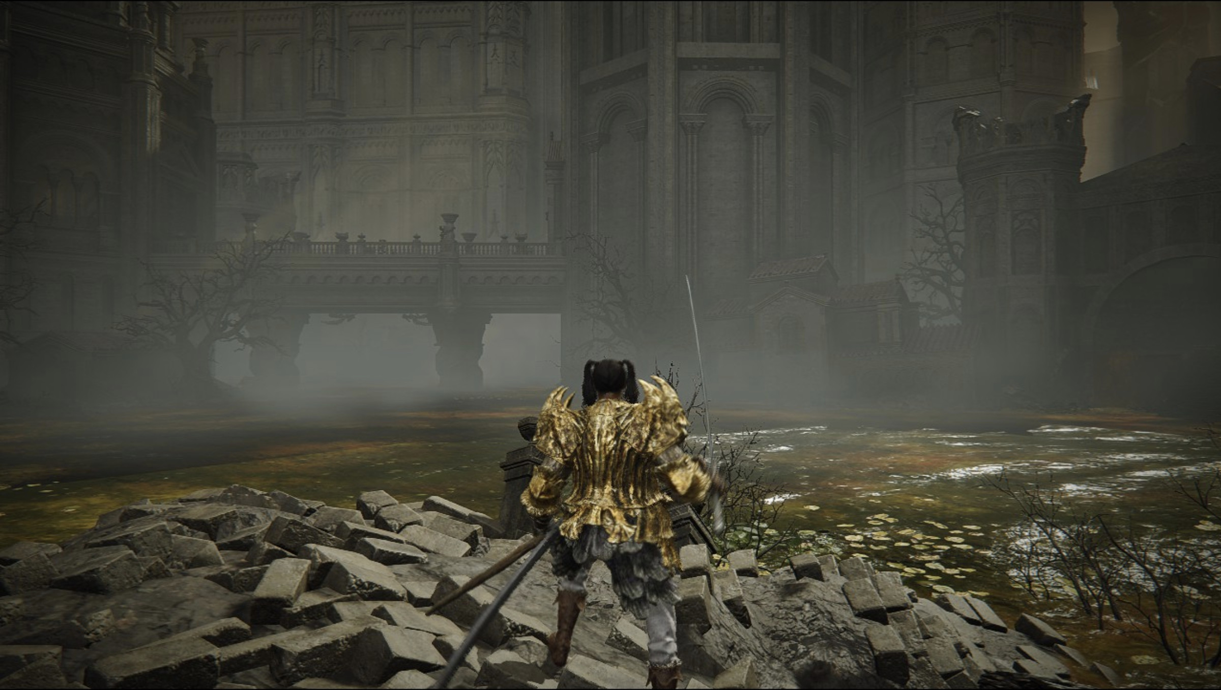 Screenshot from Elden Ring DLC Shadow of the Erdtree featuring a character in golden armor standing in front of a poison swamp.